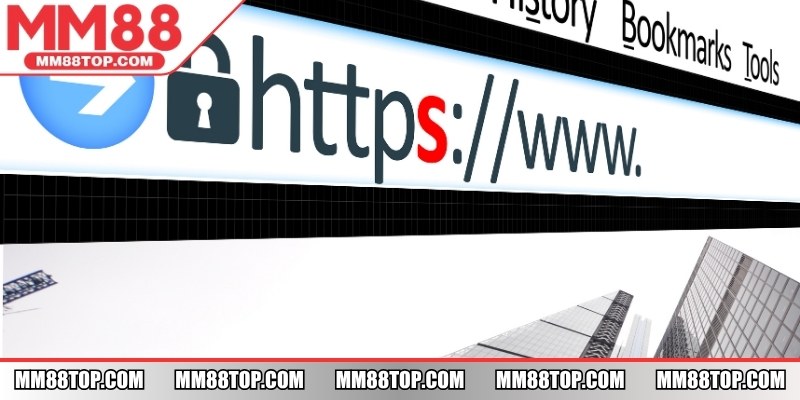 Cập nhật đường truyền nhanh qua web chính, app hoặc kênh hỗ trợ